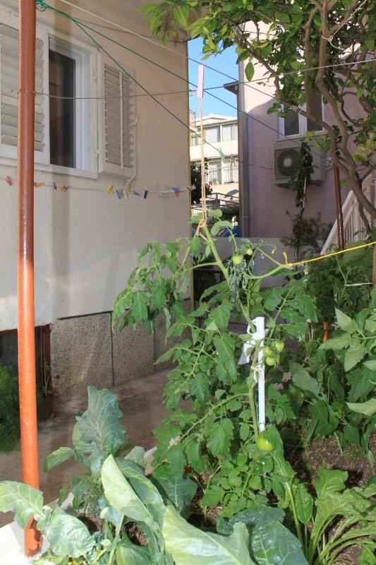 Apartments with parking space Baska Voda Makarska - 6854 - image 16