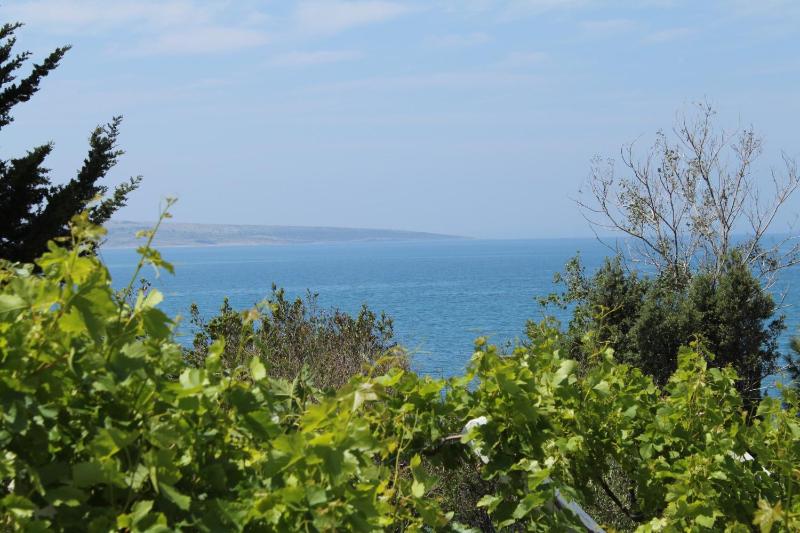 One-Bedroom Apartment with Balcony and Sea View image 2