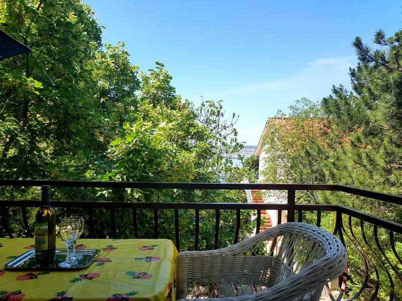 Studio with Terrace image 2