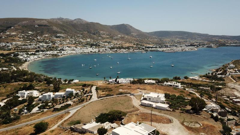 Blue Bay Heliolithos - image 26