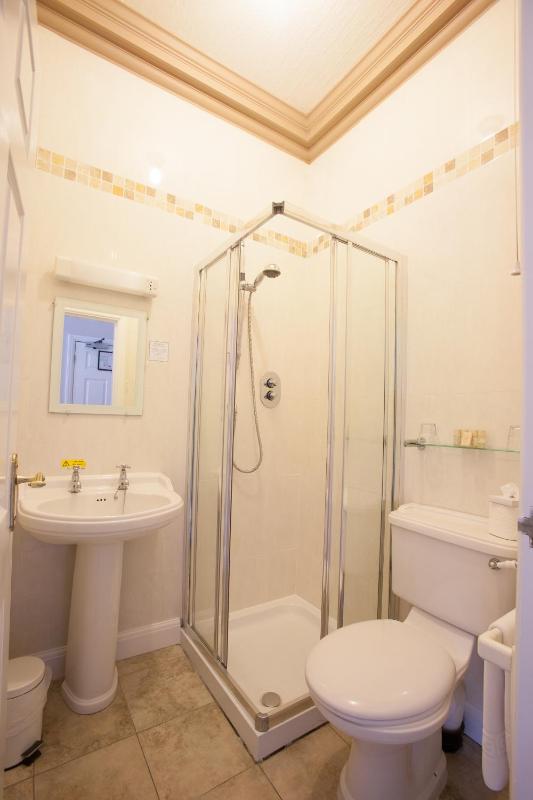 Standard Family Room image 3