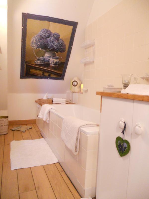 chambres d'hotes le nid du phare avec option jacuzzi privé - image 48