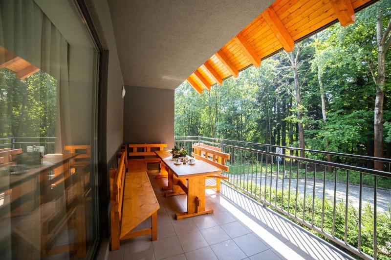 Superior Chalet image 2