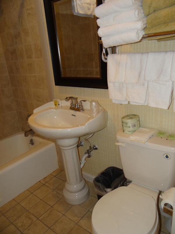 Four-Bedroom Apartment image 3