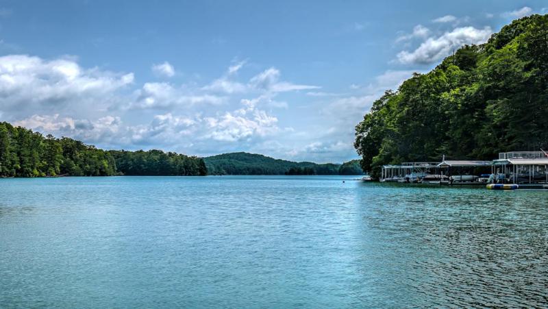 Away to the Lake - Lake Blue Ridge dock | Hot Tub Pool Table | Ping Pong | Fire pit - image 30