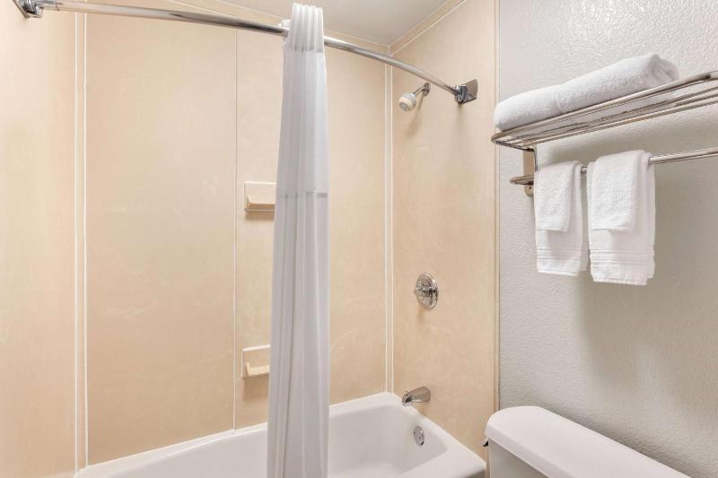 Deluxe King Room with Sofa Bed - Non-Smoking image 1