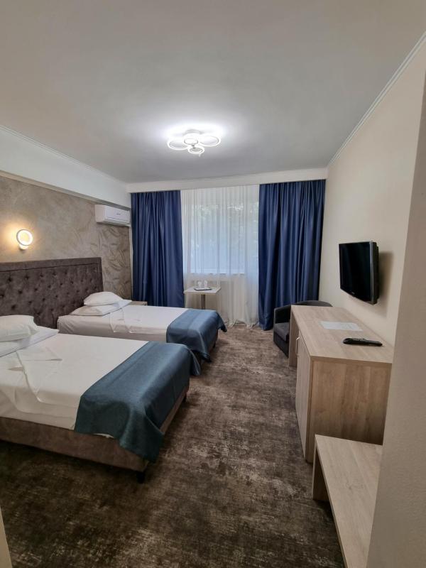 Standard Twin Room image 2