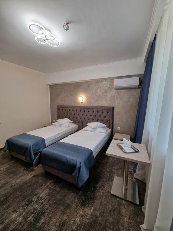 Standard Twin Room image 3