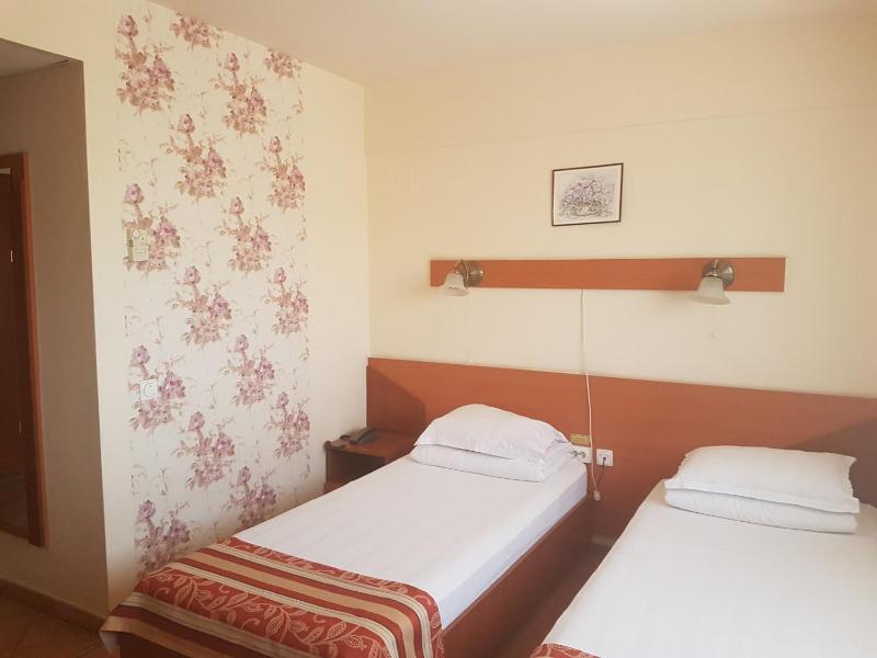 Double or Twin Room image 4