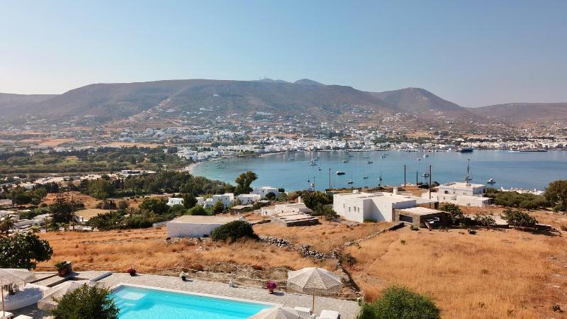 Blue Bay Heliolithos - image 27