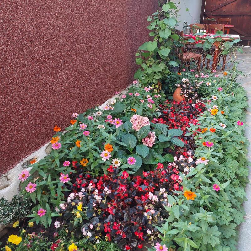 Guest House Planinski Zdravets - image 26