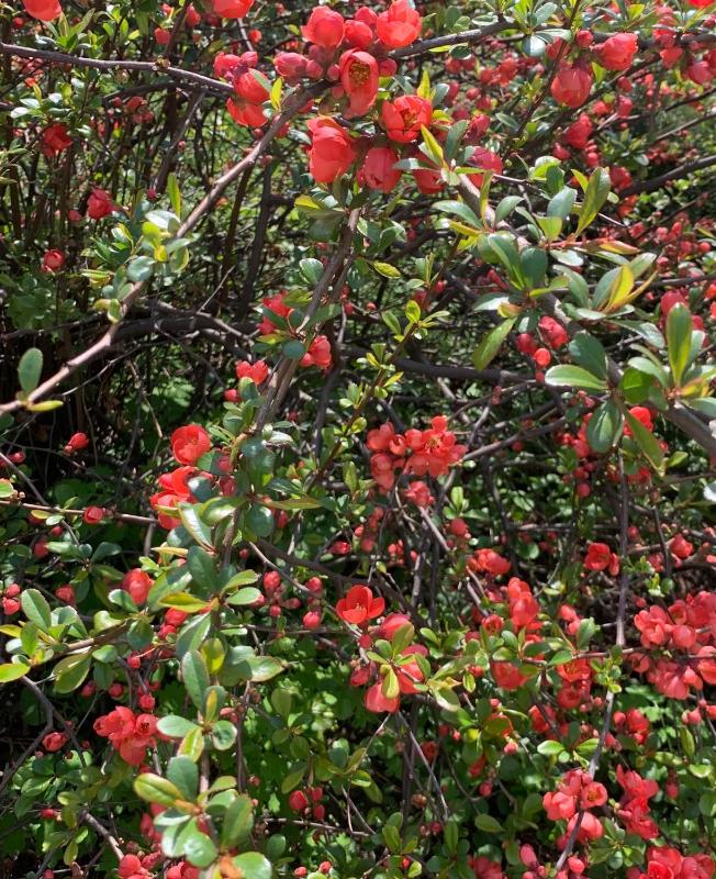 Double or Twin Room with Balcony image 3