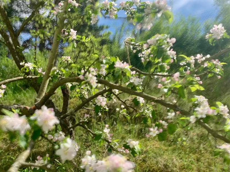 Double or Twin Room with Balcony image 2