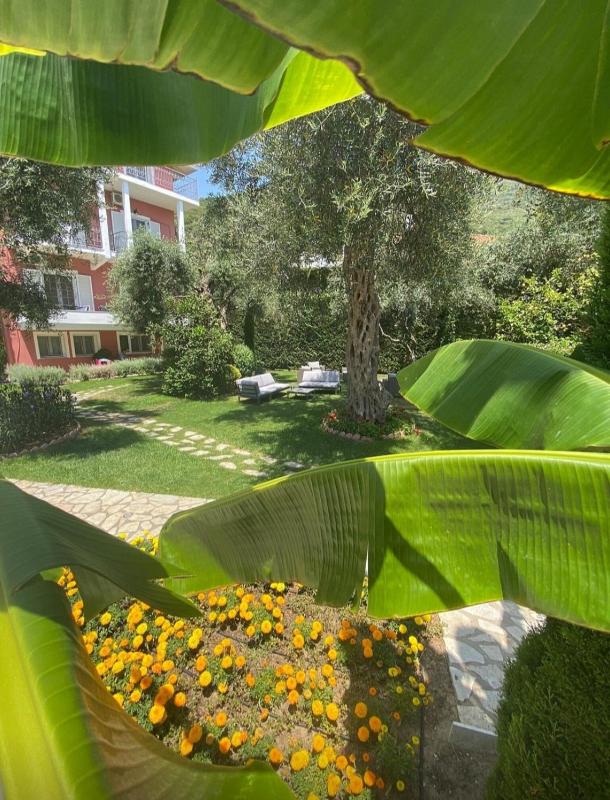 Vassilis Guest House - image 24