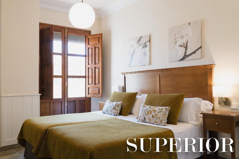 Superior One-Bedroom Apartment with Terrace image 4