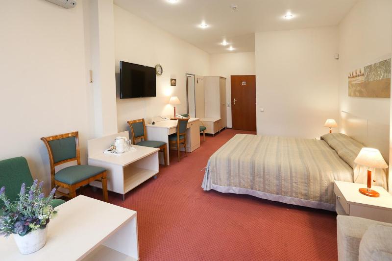 Comfort Double Room image 4