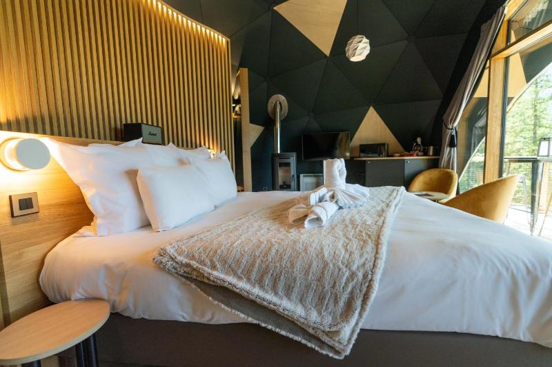 Alpin D'Hôme Hôtel & Spa - image 6