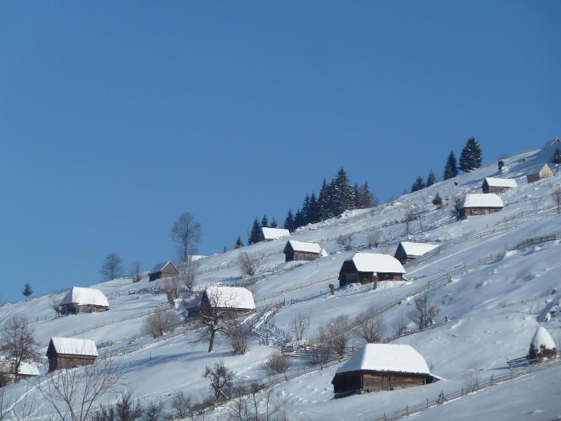 Holiday Home image 2