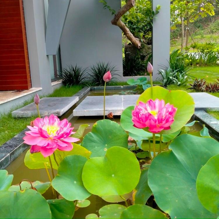 Lá Thấp Villa - Flamigo Venus 3 phòng ngủ BBQ bể bơi - image 31