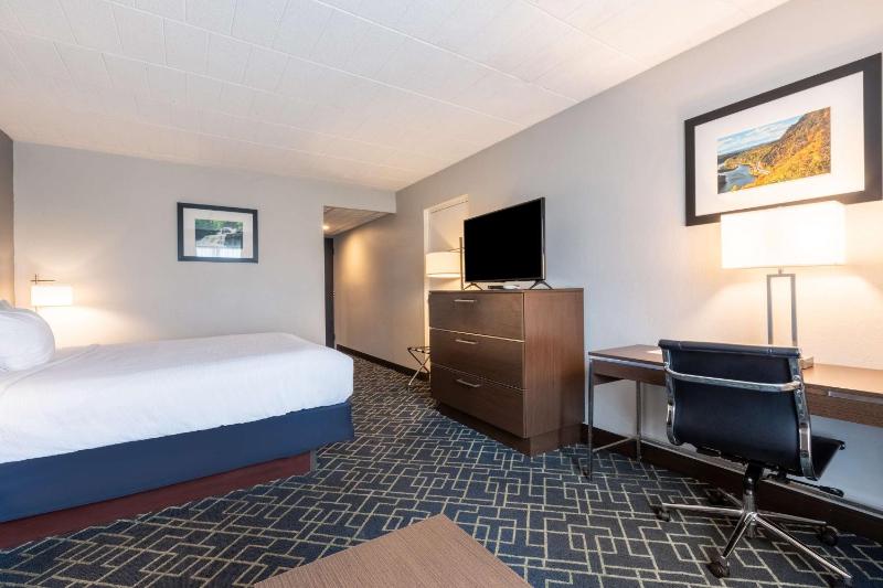 King Room - Non-Smoking image 3