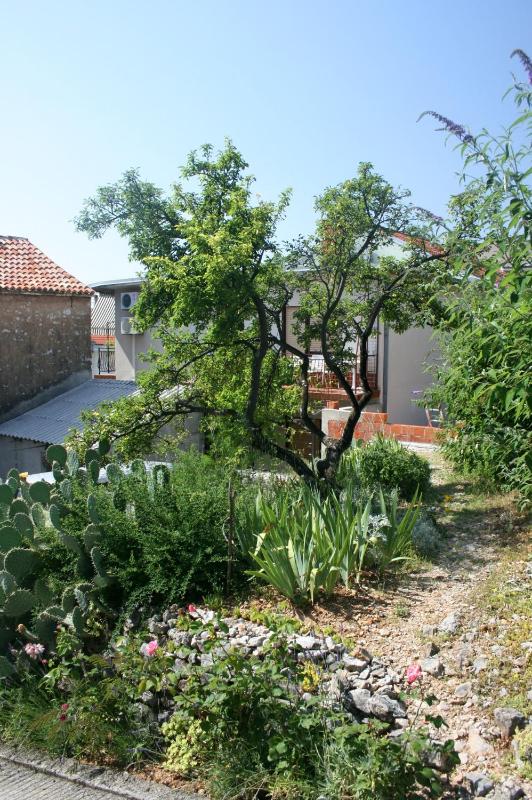 Apartment Selce 5366b - image 3