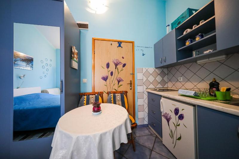 Studio with Terrace image 4