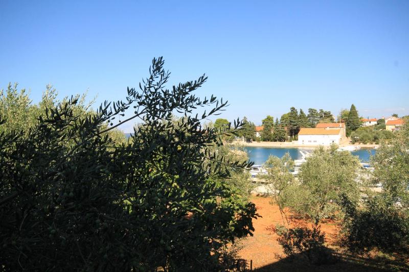 Two-Bedroom Apartment with Terrace and Sea View image 4