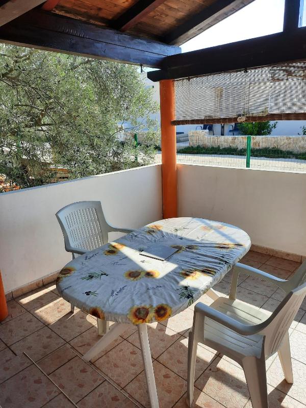 Studio with Terrace image 3