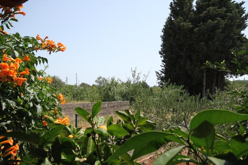 Studio with Terrace image 2