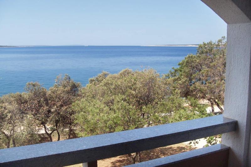 Apartments by the sea Mandre Pag - 8655 - image 17