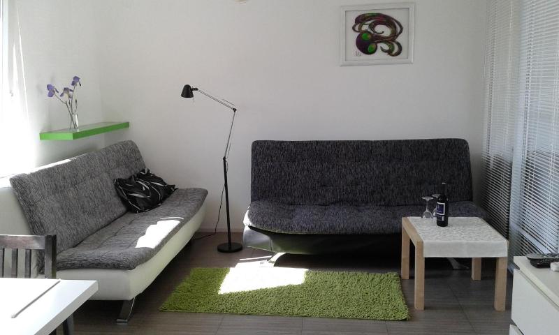 One-Bedroom Apartment with Terrace image 1