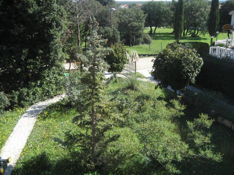 Apartments with parking space Barbariga Fazana - 11193 - image 14
