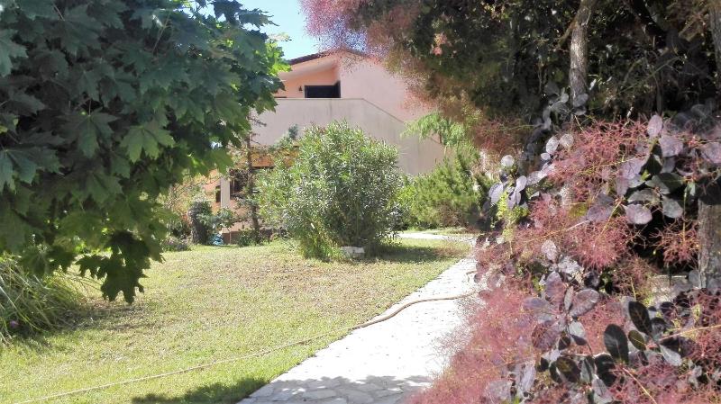 Apartments with parking space Barbariga Fazana - 11193 - image 3
