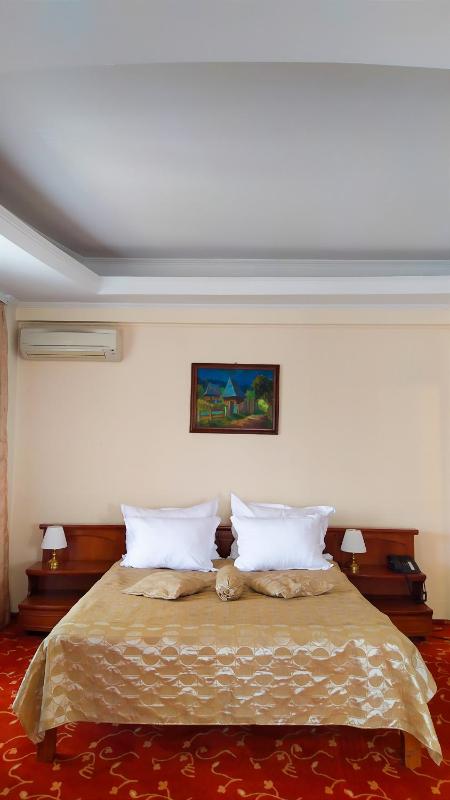 Premium Suite image 1