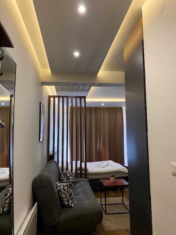 Apartman Milosavljevic-President Kop - image 6