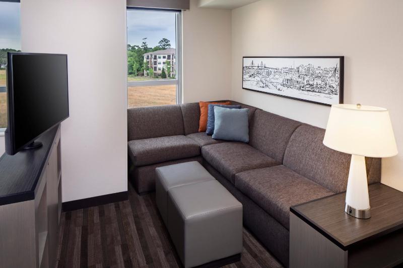 King Studio Suite with Kitchen and Sofa Bed image 2