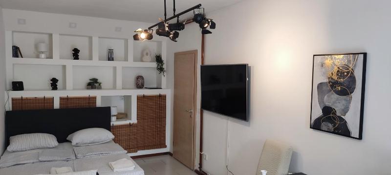 Studio with Terrace image 4