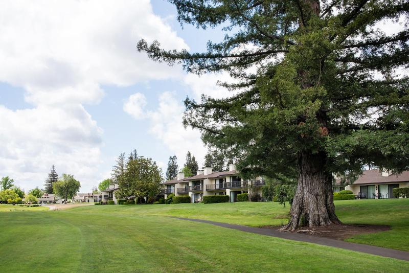 Classic Cottage Drive Golf View 1 Bedroom Suite with 2 Beds image 4