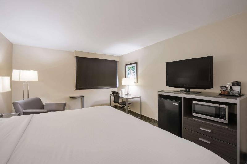 King Room image 2