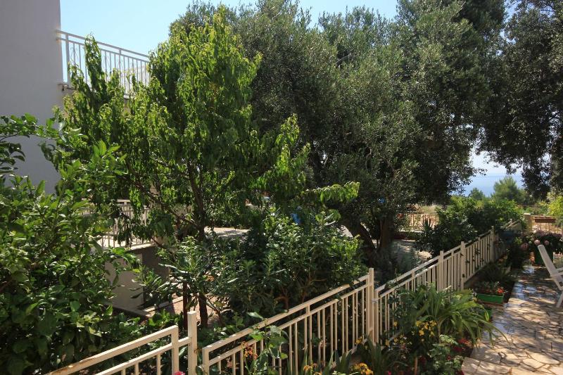 Studio with Terrace image 2