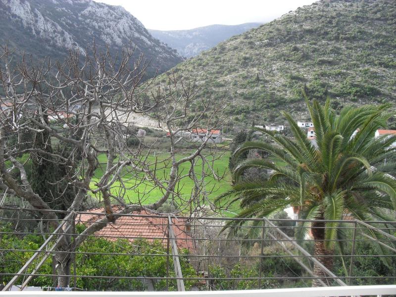 Apartment with Terrace image 3