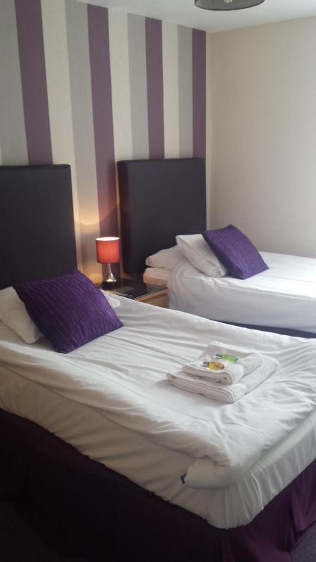 Standard Twin Room image 3