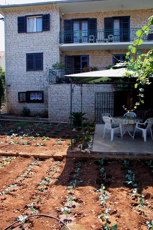Apartments with parking space Supetar Brac - 14426 - image 6