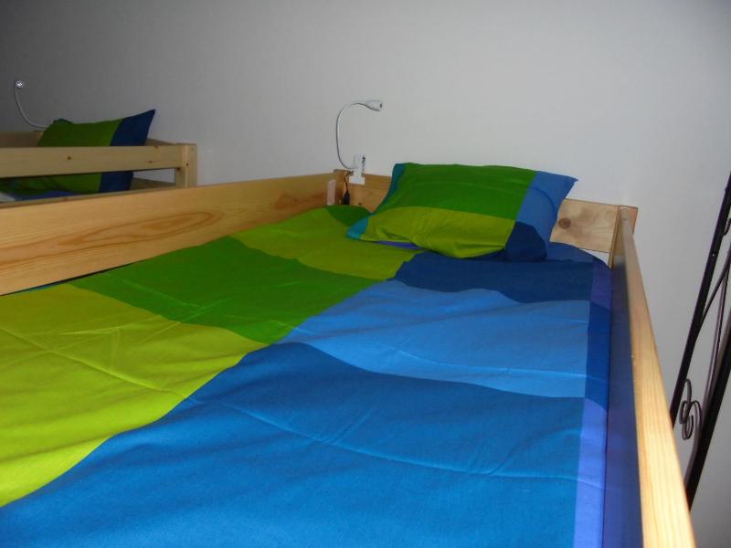 Bunk Bed in Mixed Dormitory Room image 3