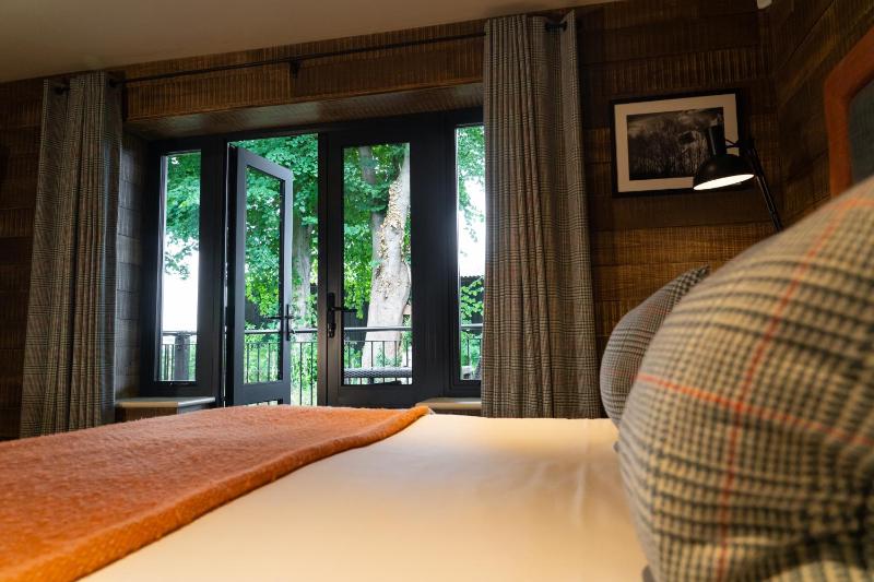 Deluxe King Room (Pet friendly) image 4