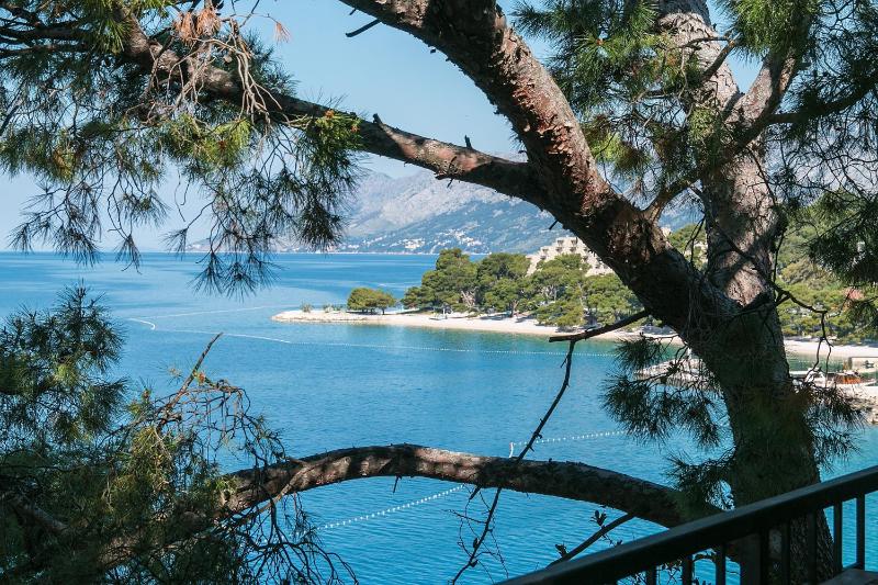 Apartments by the sea Brela Makarska - 16950 - image 19