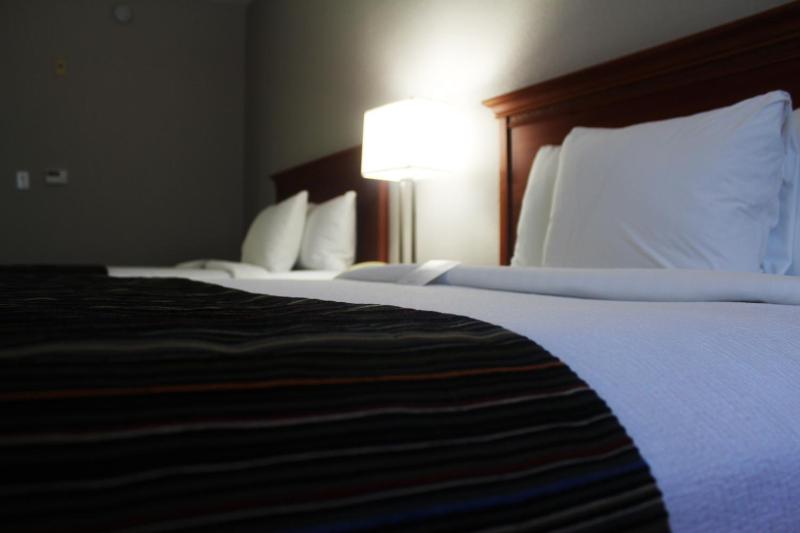 Queen Room with Two Queen Beds - Non-Smoking image 4