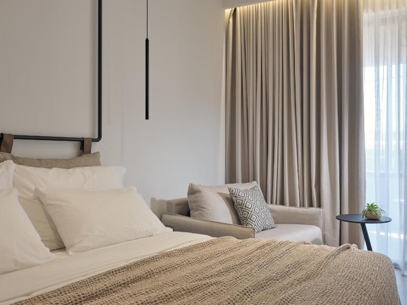 Superior Double / Twin Room Plus image 4