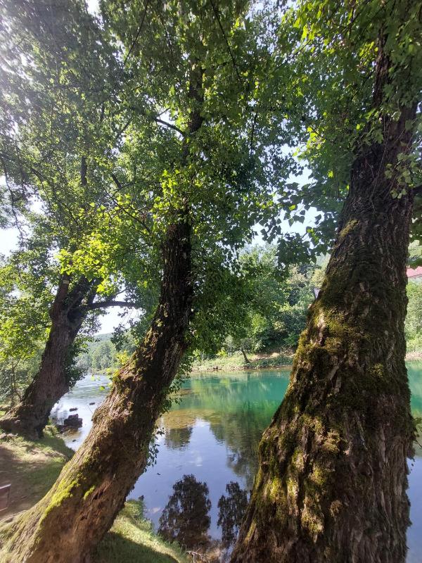 Apartmani Kajkut - image 10