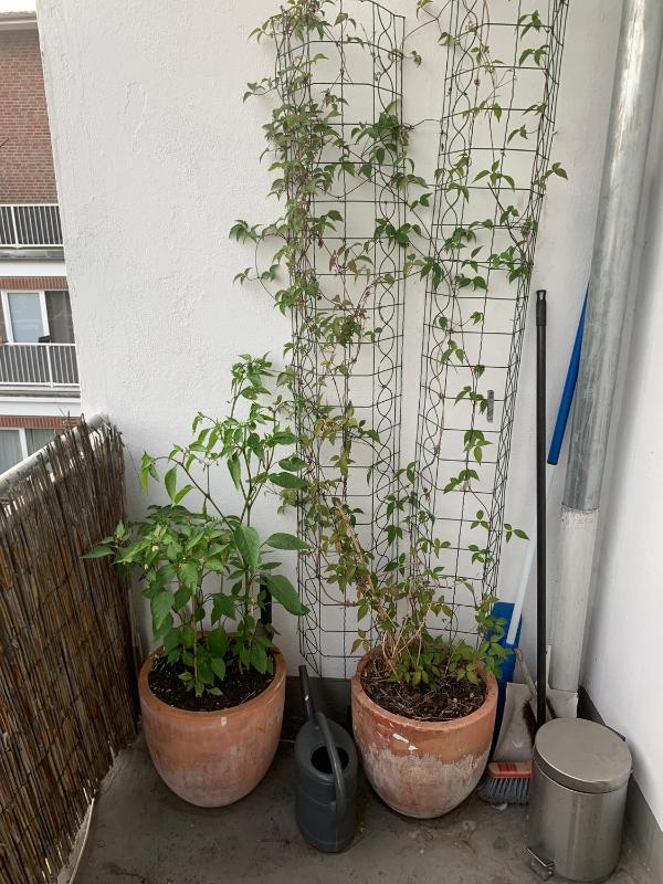 Apartment with Balcony image 2